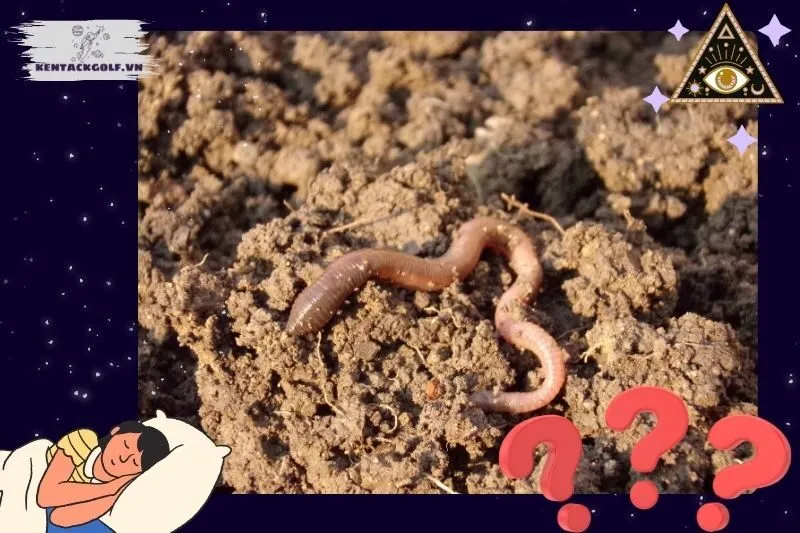 Ý nghĩa giấc mơ thấy giun liên quan đến sức khỏe