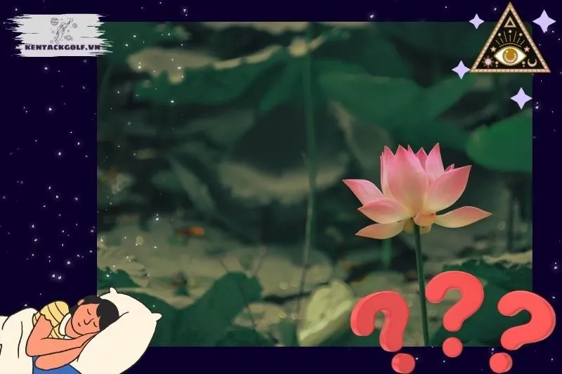 Ý nghĩa giấc mơ thấy hoa sen là gì?