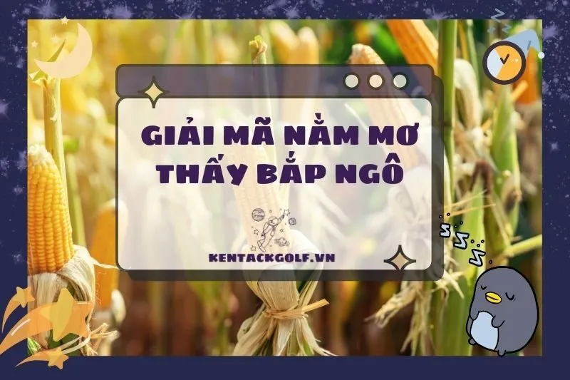 Ý nghĩa nằm mơ thấy bắp ngô: Điềm báo và con số may mắn 2025