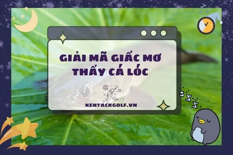 Ý Nghĩa Nằm Mơ Thấy Cá Lóc - Giải Mã Các Tình Huống & Số May Mắn 2025