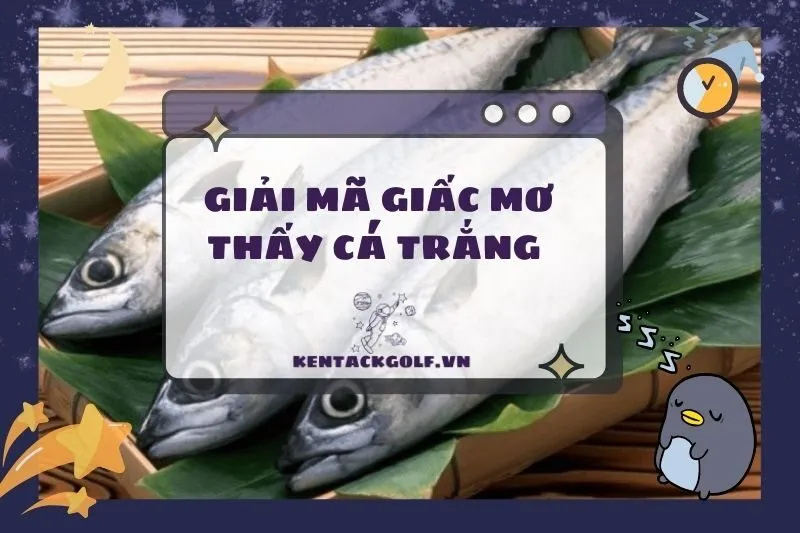 Ý Nghĩa Nằm Mơ Thấy Cá Trắng & Giải Mã Các Tình Huống Cụ Thể 2025