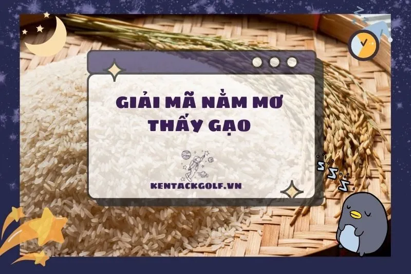 Ý Nghĩa Nằm Mơ Thấy Gạo: May Mắn, Điềm Báo và Con Số Tương Ứng 2025