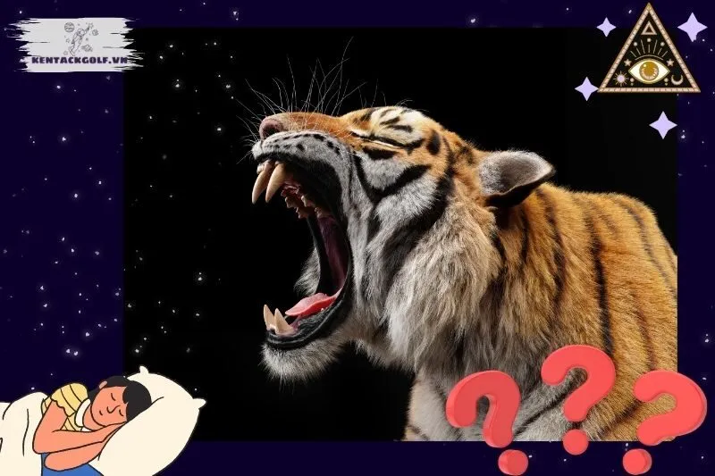 Ý Nghĩa Nằm Mơ Thấy Hổ Tốt Hay Xấu