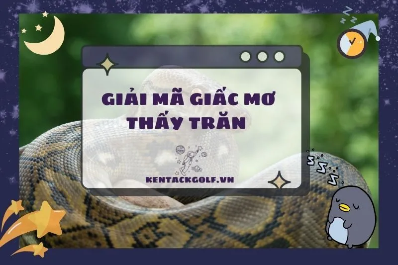 Ý Nghĩa Nằm Mơ Thấy Trăn Và Các Tình Huống Cụ Thể 2025