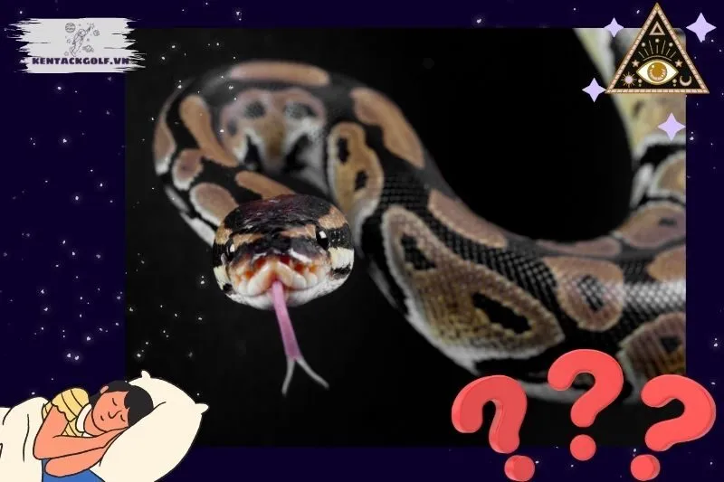 Ý nghĩa nằm mơ thấy trăn