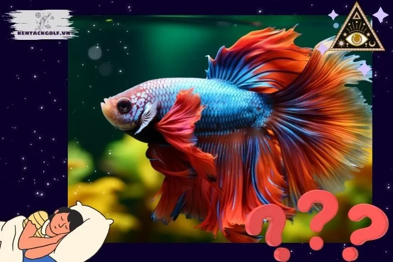 Ý nghĩa phong thủy khi nằm mơ thấy cá
