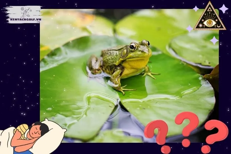 Ý nghĩa tổng quan của giấc mơ thấy ếch
