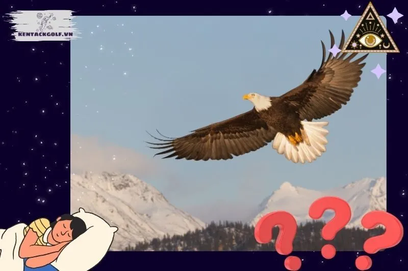 Ý Nghĩa và Điềm Báo Của Giấc Mơ Thấy Chim Đại Bàng