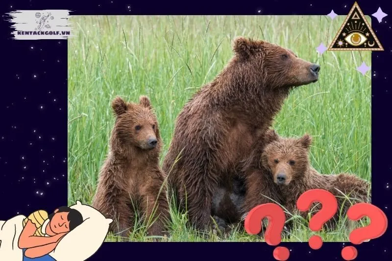 Các điềm báo cụ thể khi nằm mơ thấy gấu