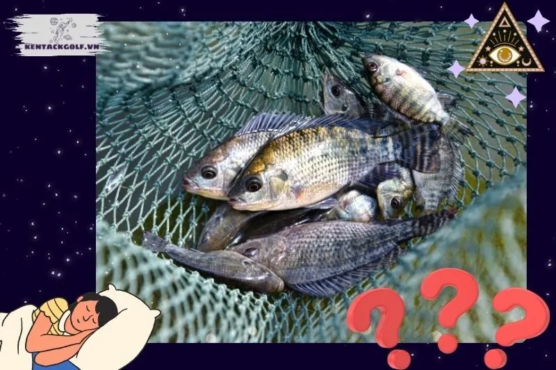 Các điềm báo khi nằm mơ thấy cá rô phi