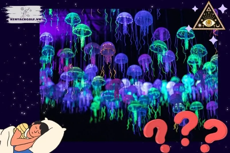 Các trường hợp nằm mơ thấy sứa biển và ý nghĩa cụ thể