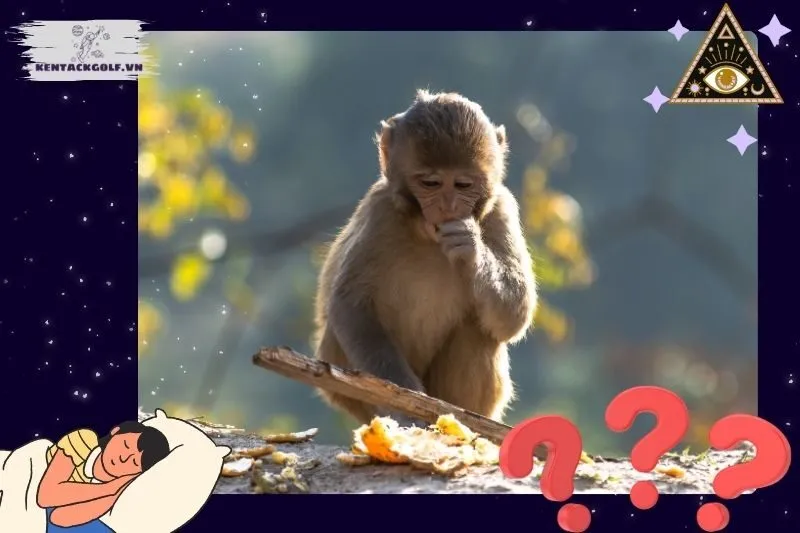 Điềm báo chi tiết theo loại giấc mơ thấy khỉ