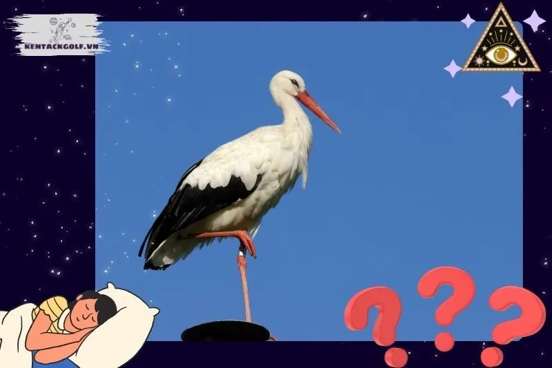 Giấc mơ thấy hạc trong văn hóa và phong thủy