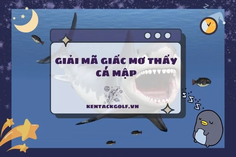 Giải mã nằm mơ thấy cá mập: Điềm báo và ý nghĩa bất ngờ 2025