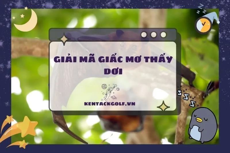 Giải mã nằm mơ thấy con dơi: Điềm báo và ý nghĩa thú vị 2025