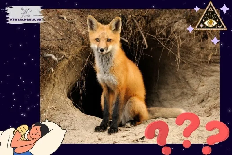 Giải mã ý nghĩa giấc mơ thấy cáo