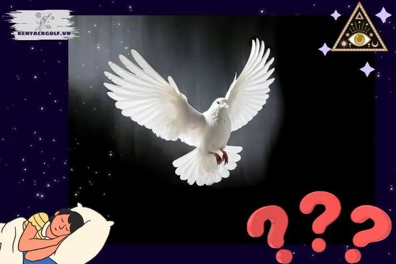 Nằm mơ thấy bồ câu có ý nghĩa gì?