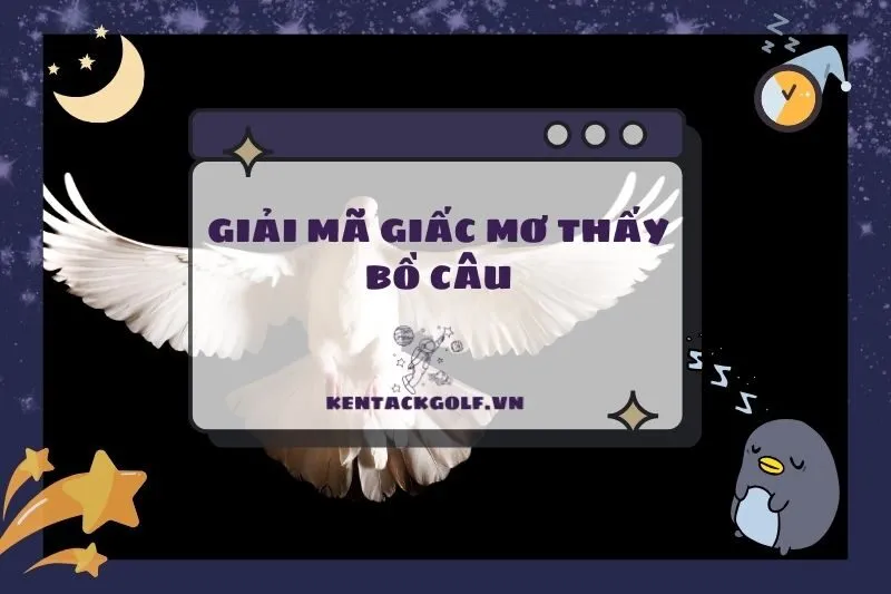 Nằm mơ thấy bồ câu: Giải mã điềm báo tốt xấu và ý nghĩa chi tiết 2025