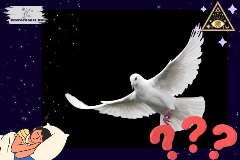 Nằm mơ thấy bồ câu liên quan đến tài lộc và sự nghiệp như thế nào?