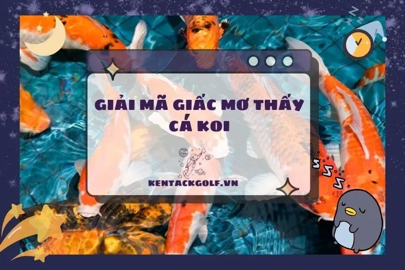 Nằm mơ thấy cá koi: Ý nghĩa, điềm báo và con số may mắn 2025