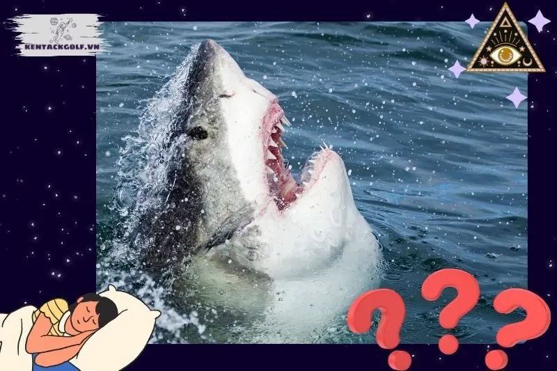 Nằm mơ thấy cá mập có điềm báo gì?