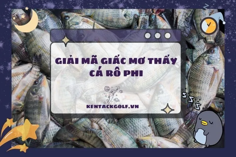 Nằm mơ thấy cá rô phi: Ý nghĩa điềm báo và con số may mắn 2025