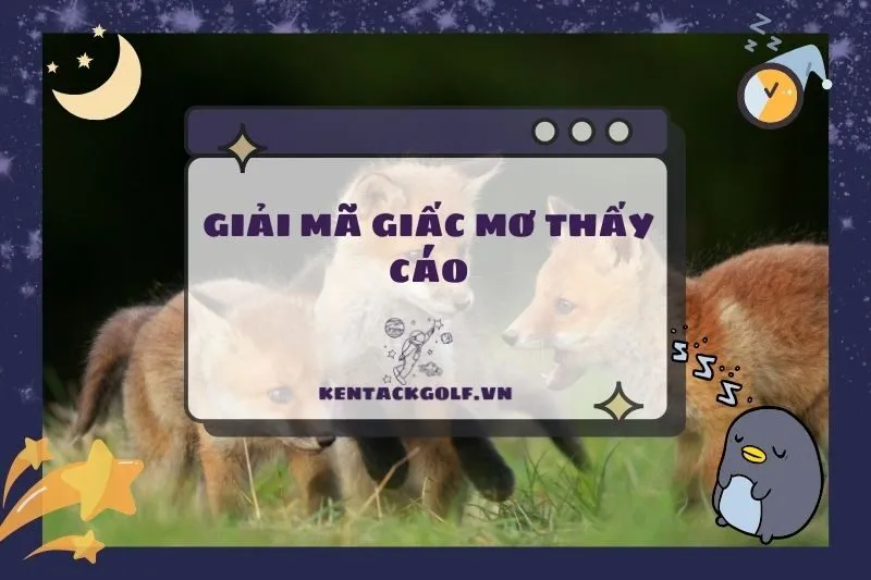 Nằm mơ thấy cáo: Giải mã ý nghĩa và điềm báo từ giấc mơ 2025