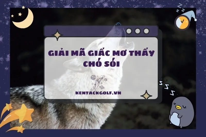 Nằm mơ thấy chó sói: Giải mã ý nghĩa và điềm báo thực tế 2025