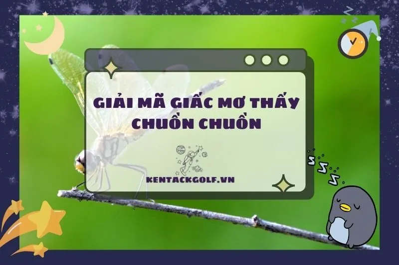 Nằm mơ thấy chuồn chuồn có ý nghĩa gì? Điềm báo ra sao 2025?