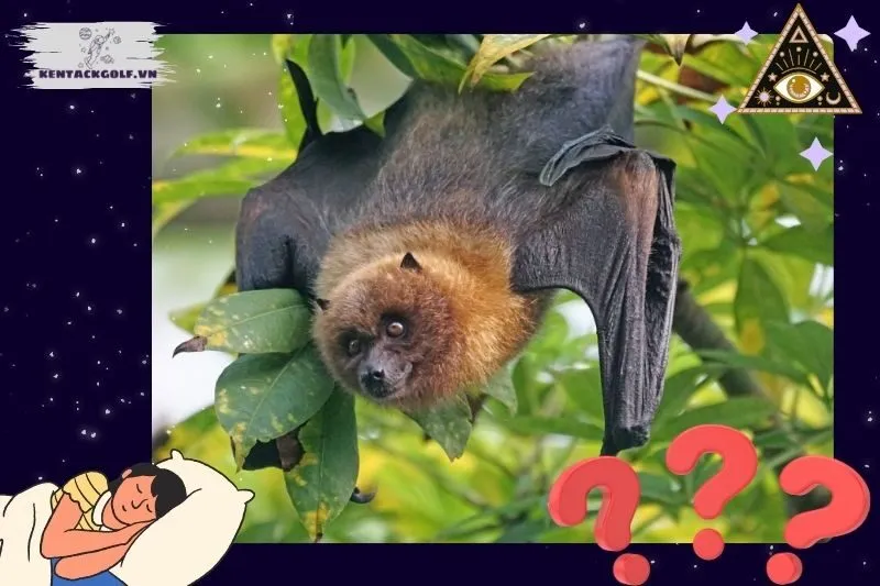 Nằm mơ thấy con dơi có điềm báo gì?
