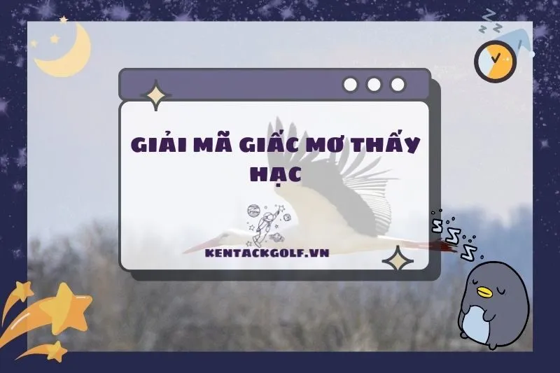 Nằm mơ thấy con hạc: Ý nghĩa, điềm báo và con số may mắn 2025