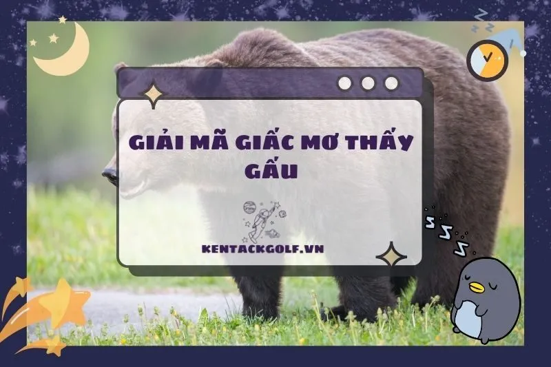 Nằm mơ thấy gấu: Ý nghĩa, điềm báo và con số may mắn 2025