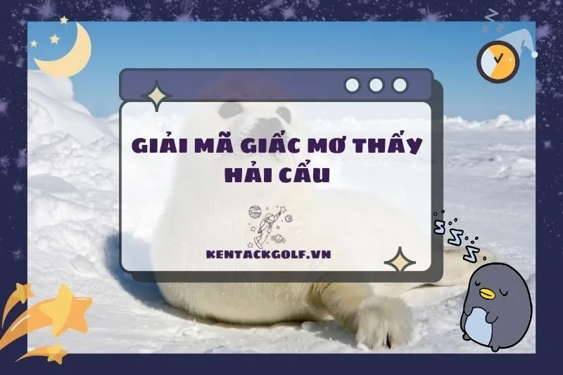 Nằm mơ thấy hải cẩu: Giải mã ý nghĩa và điềm báo chi tiết 2025