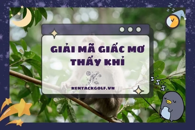 Nằm mơ thấy khỉ: Ý nghĩa, điềm báo và con số may mắn 2025