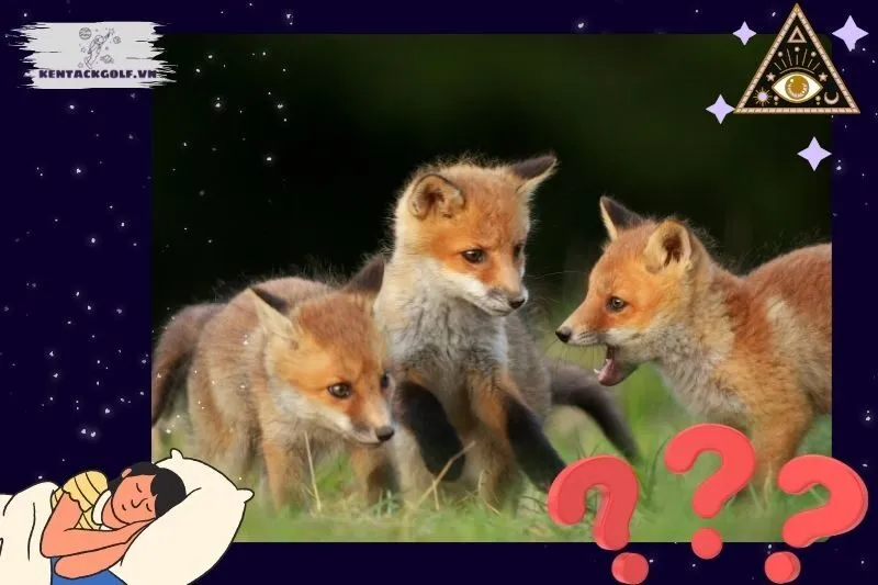 Những điềm báo đặc biệt khi mơ thấy cáo