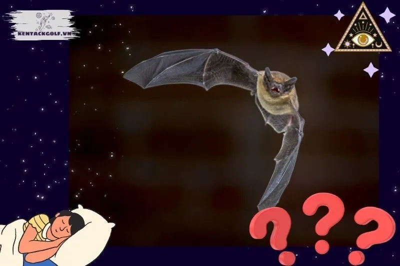 Những tình huống cụ thể khi mơ thấy con dơi