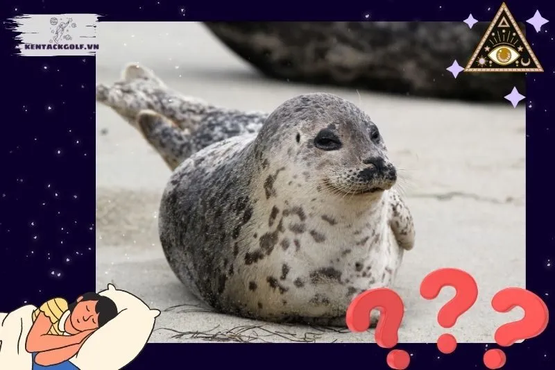 Những ý nghĩa cụ thể khi mơ thấy hải cẩu trong các tình huống khác nhau