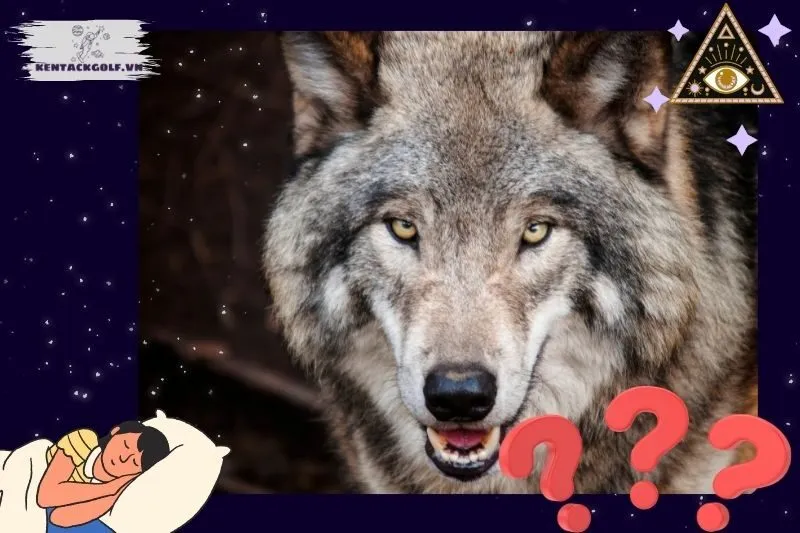 Tác động của giấc mơ thấy chó sói đến đời sống thực tế