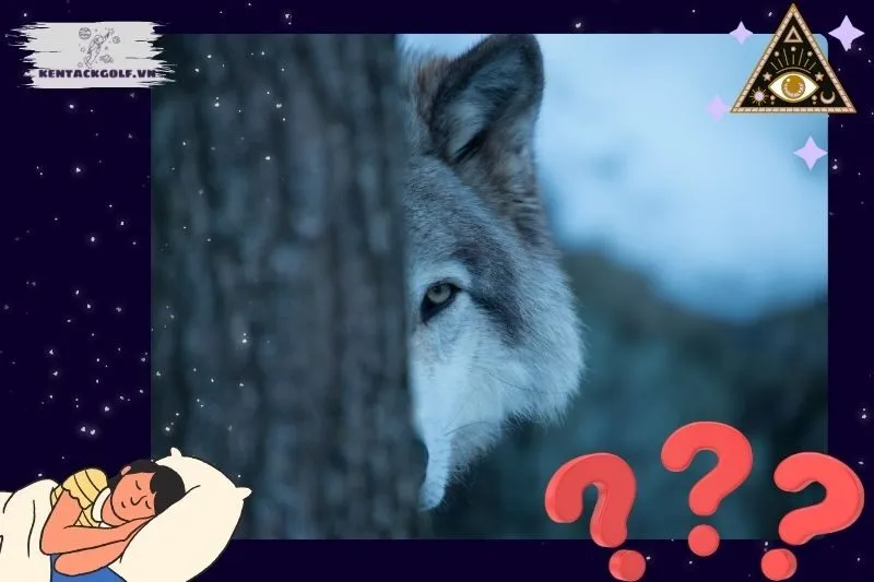 Ý nghĩa giấc mơ thấy chó sói là gì?