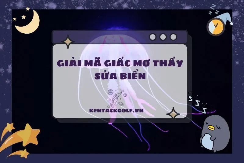 Ý Nghĩa Nằm Mơ Thấy Sứa Biển: Tốt, Xấu và Con Số May Mắn 2025