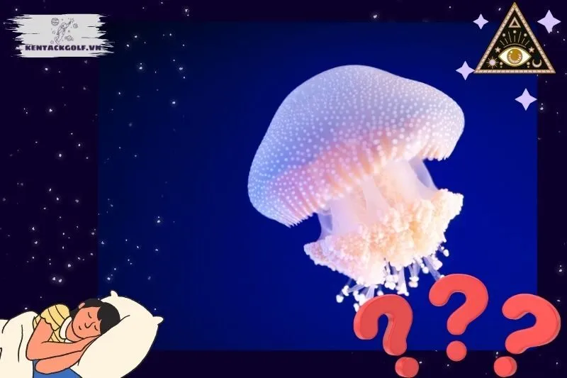 Ý nghĩa nằm mơ thấy sứa biển