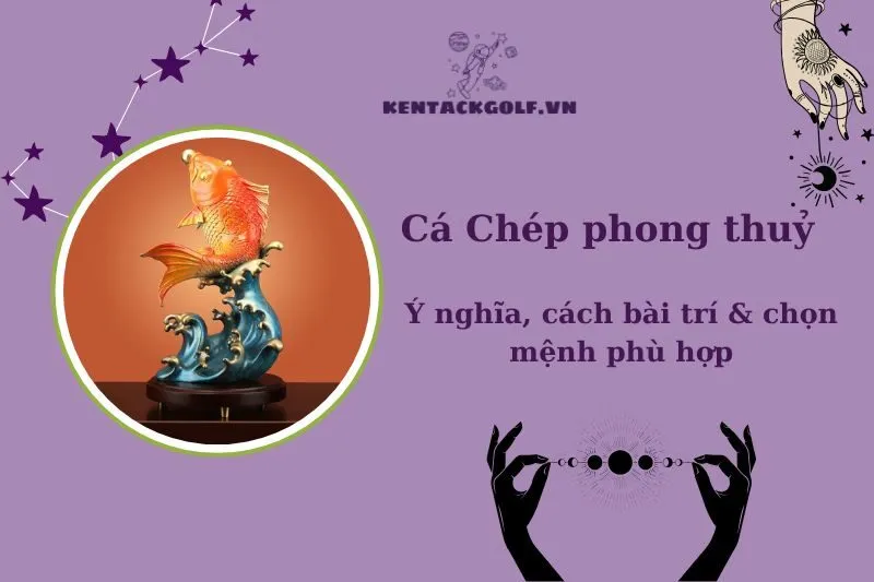 Cá Chép Phong Thủy 2025: Ý Nghĩa, Công Dụng và Cách Bài Trí 2025