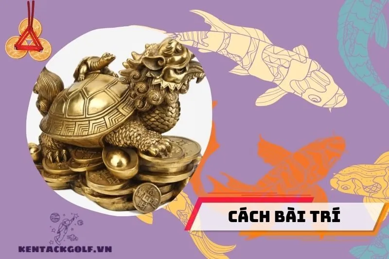 Cách bài trí Long Quy phong thủy trong nhà