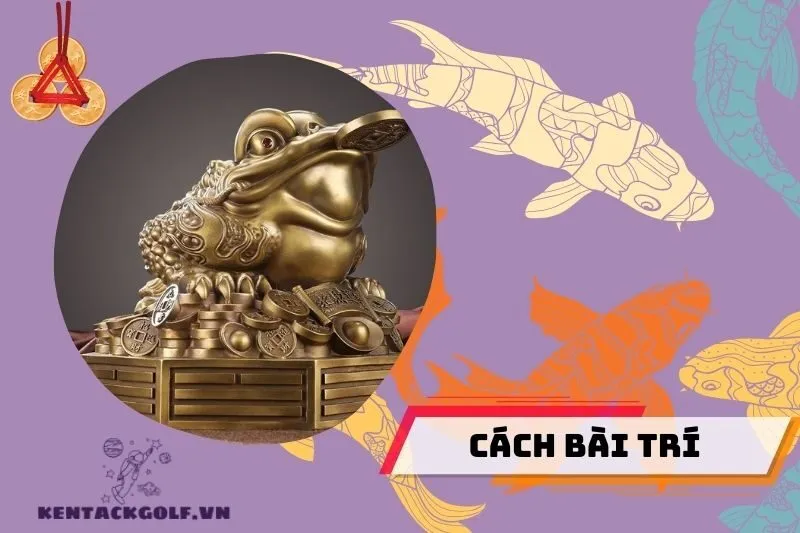 Cách bài trì Thiềm Thừ phong thủy để thu hút tài lộc