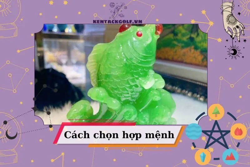 Cách chọn cá chép phong thủy theo mệnh và tuổi