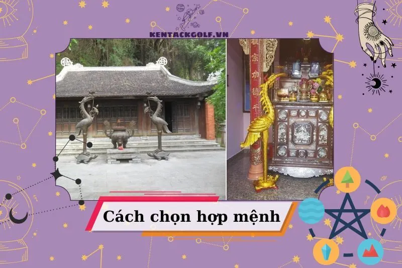 Cách Chọn Chim Hạc Phong Thủy Hợp Mệnh và Tuổi