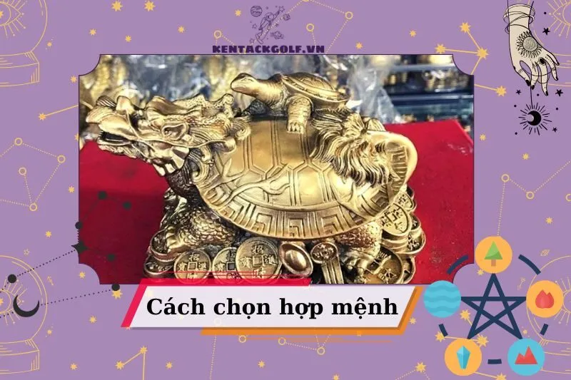 Cách chọn Long Quy phù hợp với mệnh gia chủ