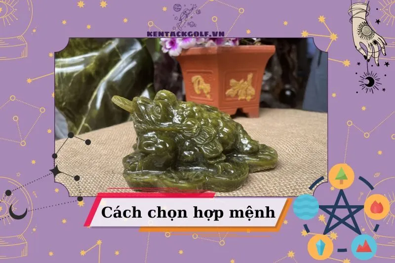 Cách chọn Thiềm Thừ hợp mệnh