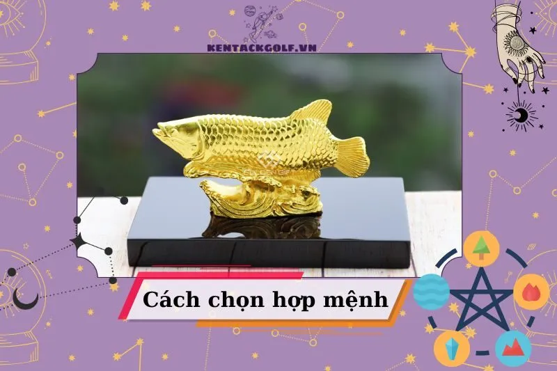 Cách Chọn Tượng Cá Vàng Phong Thủy Hợp Mệnh