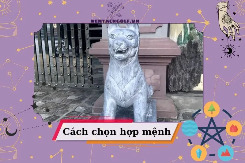 Cách Chọn Tượng Chó Đá Phong Thủy Hợp Với Mệnh Của Gia Chủ